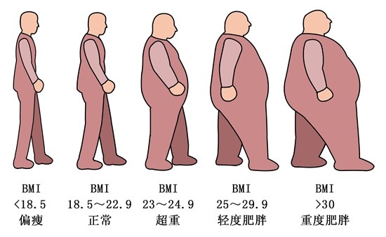 每5个中小学生中就有一个小胖墩儿专家详解肥胖防控怎么做