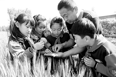 中小学作业怎样布置更科学